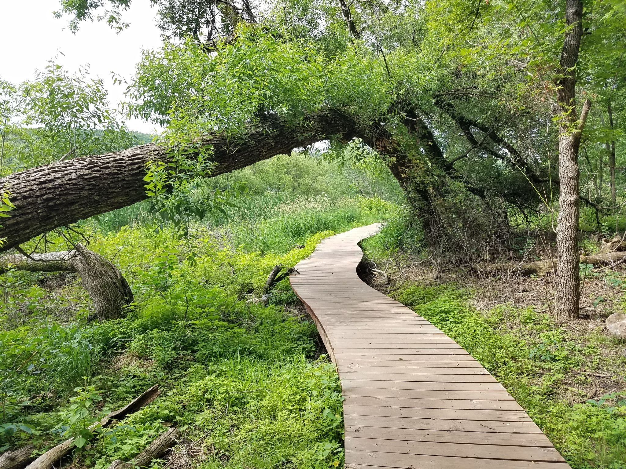 National Parks in Eagan Minnesota