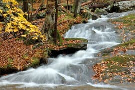 National Parks in Frederick Maryland