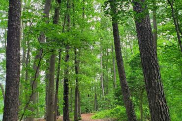 National Parks in Hampton Virginia