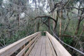 National Parks in Hillsborough County Florida