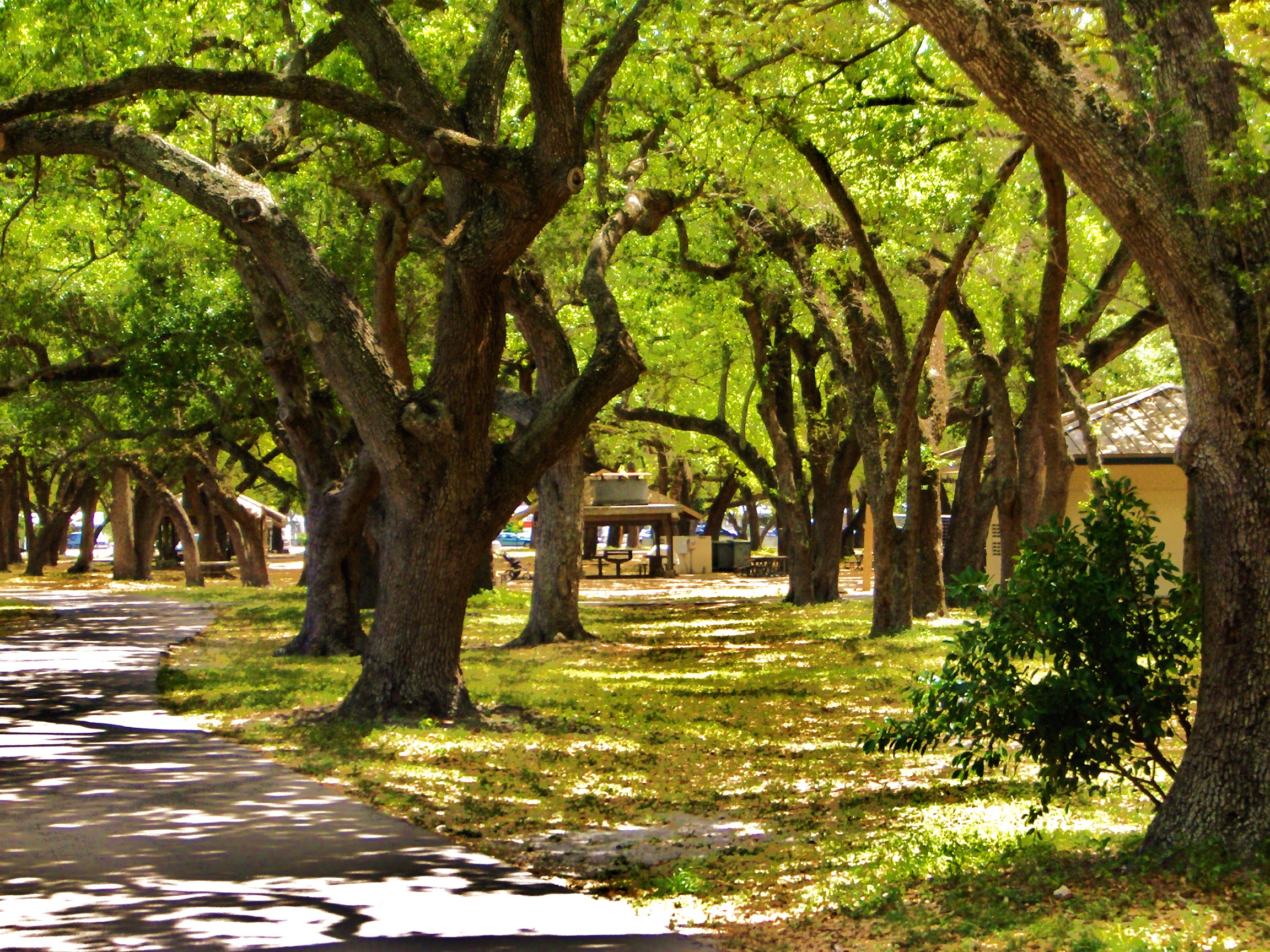 National Parks in Hollywood Florida