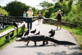 National Parks in Jacksonville Florida