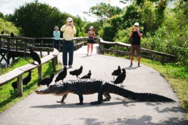 National Parks in Jacksonville Florida