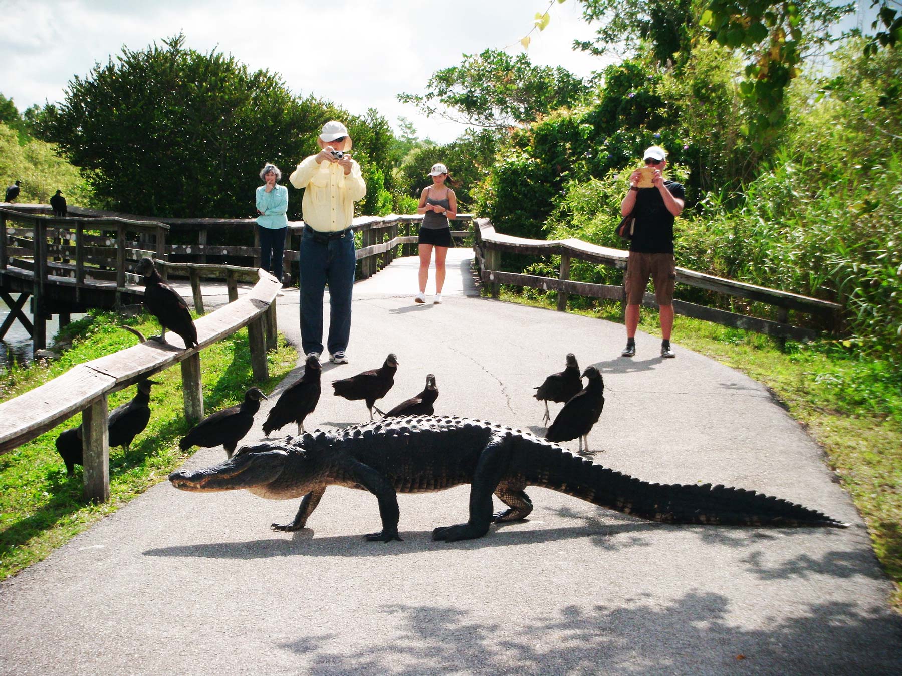 National Parks in Jacksonville Florida