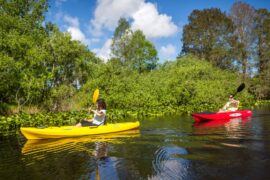 National Parks in Kissimmee Florida