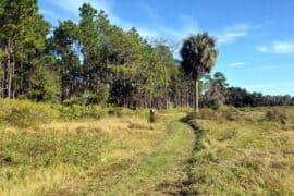 National Parks in Lakeland Florida