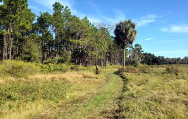 National Parks in Lakeland Florida