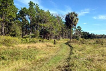 National Parks in Lakeland Florida