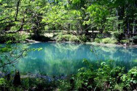 National Parks in Lehigh Acres Florida