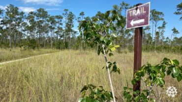 National Parks in Plantation Florida