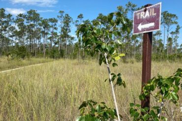 National Parks in Plantation Florida