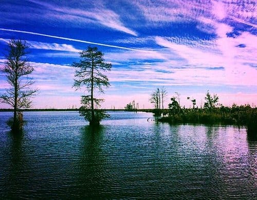 National Parks in Suffolk Virginia