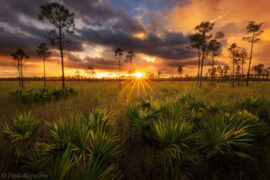 National Parks in Sunrise Florida