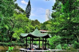 National Parks in Yau Tsim Mong Kowloon