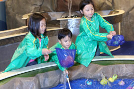 Play Centres in Skokie Illinois