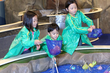 Play Centres in Skokie Illinois