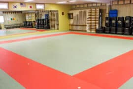 Self Defence Classes in Hoover Alabama