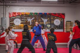 Self Defence Classes in Wesley Chapel Florida