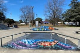 Skate Parks in Portsmouth Virginia