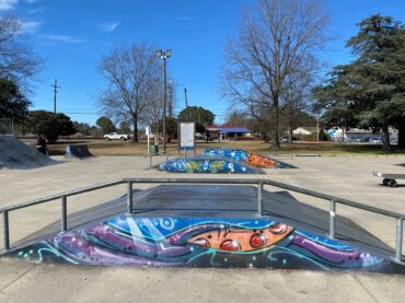 Skate Parks in Portsmouth Virginia