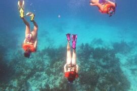 Snorkelling Locations in Brandon Florida