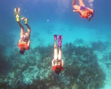 Snorkelling Locations in Brandon Florida