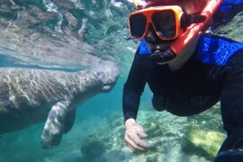 Snorkelling Locations in Broomfield Colorado