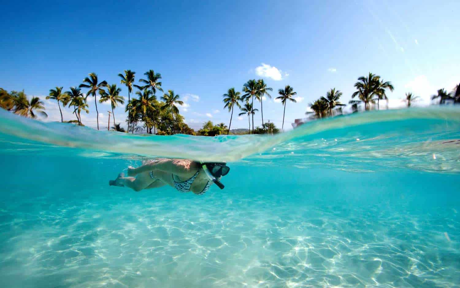 Snorkelling Locations in Buffalo New York