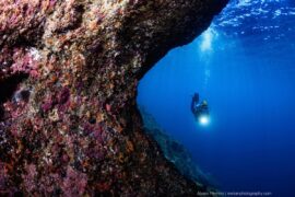 Snorkelling Locations in Castle Rock Colorado