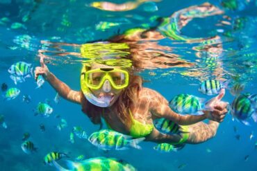 Snorkelling Locations in Chicago Illinois