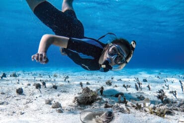 Snorkelling Locations in Columbia Maryland