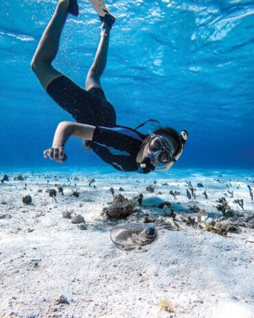 Snorkelling Locations in Columbia Maryland