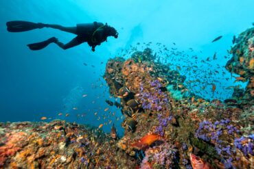 Snorkelling Locations in Coral Springs Florida