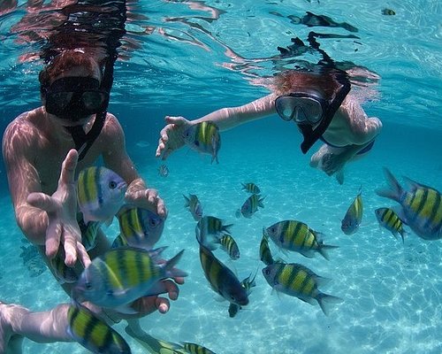 Snorkelling Locations in Eagan Minnesota