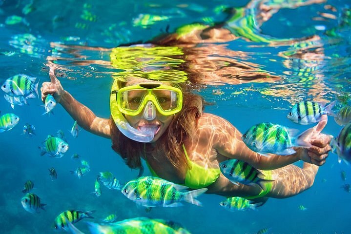 Snorkelling Locations in Eastvale California