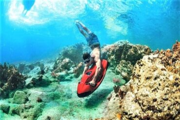 Snorkelling Locations in Fort Myers Florida