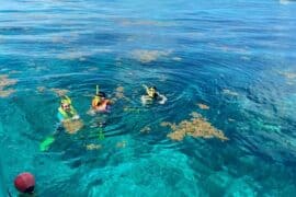 Snorkelling Locations in Frederick Maryland