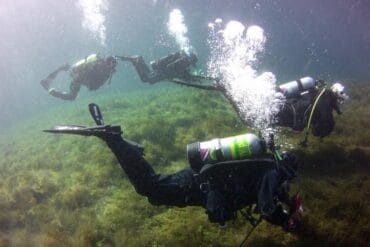 Snorkelling Locations in Gresham Oregon