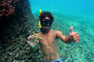 Snorkelling Locations in Gulfport Mississippi