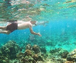 Snorkelling Locations in Hemet California