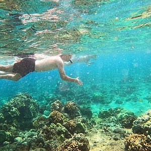 Snorkelling Locations in Hemet California