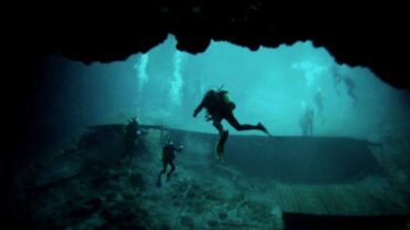 Snorkelling Locations in Hillsborough County Florida