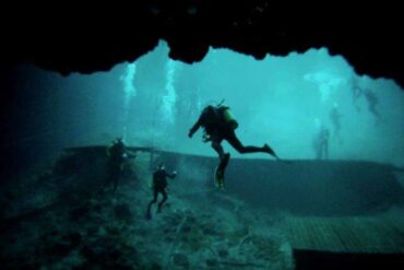 Snorkelling Locations in Hillsborough County Florida