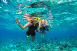 Snorkelling Locations in Homestead Florida