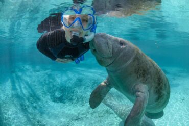 Snorkelling Locations in Jacksonville Florida