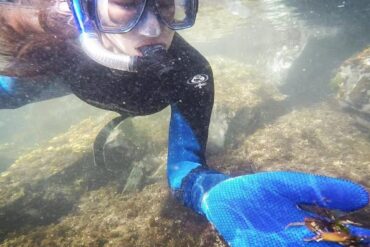 Snorkelling Locations in Kirkland Washington