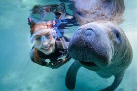 Snorkelling Locations in Kissimmee Florida