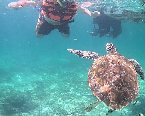 Snorkelling Locations in Lafayette Louisiana