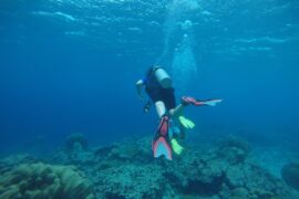 Snorkelling Locations in Lakeville Minnesota