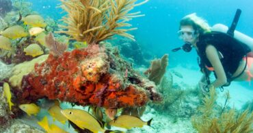 Snorkelling Locations in Lehigh Acres Florida